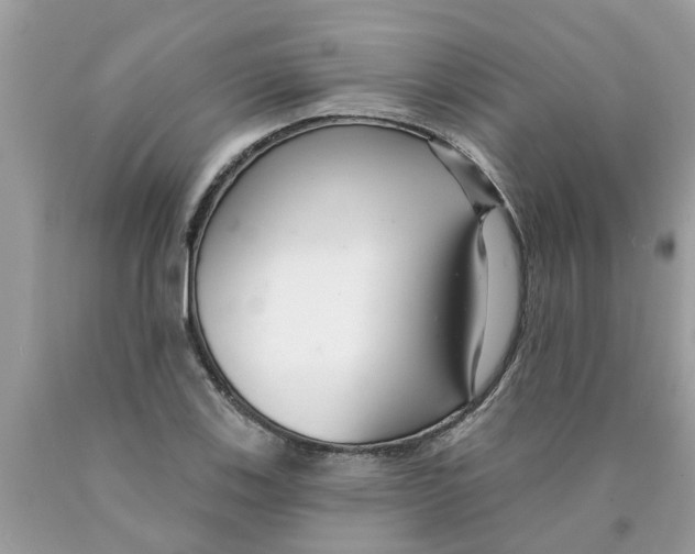 X0000089901123200707262245