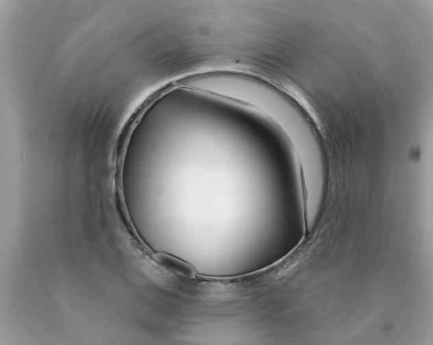 X0000089901124200707262245