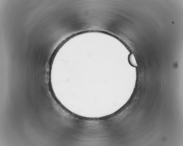 X0000089901126200707262245