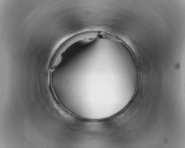 X0000089901127200707262245