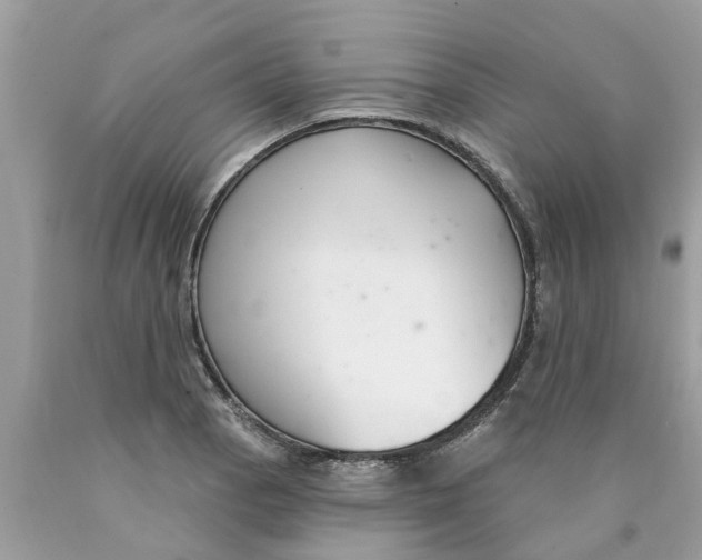 X0000089901129200707262245