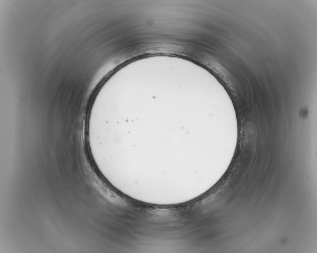 X0000089901130200707262245