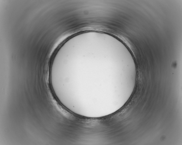 X0000089901131200707262245