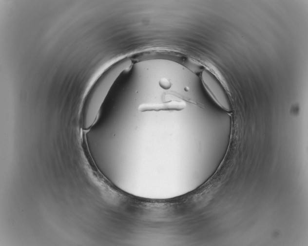 X0000089901132200707262245