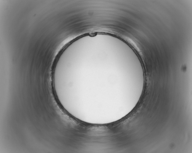 X0000089901133200707262245
