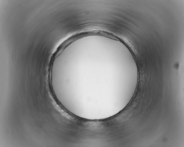 X0000089901134200707262245