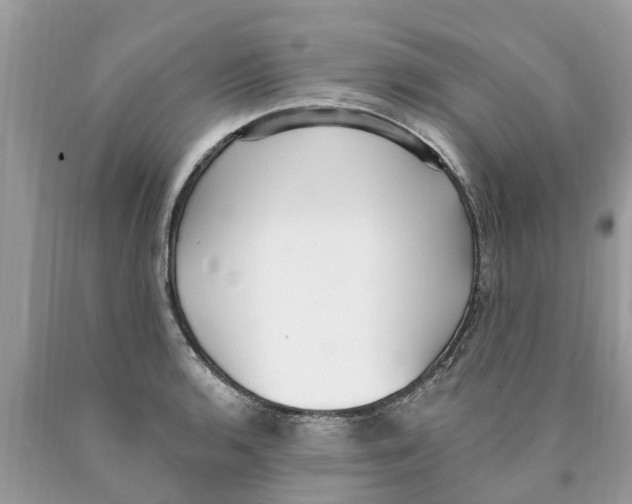 X0000089901136200707262245