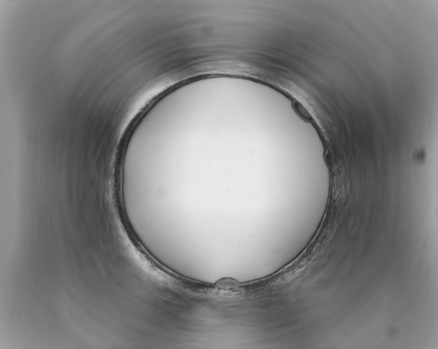 X0000089901139200707262245