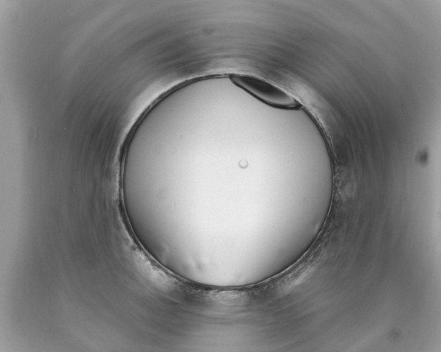 X0000089901140200707262245
