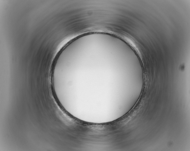 X0000089901141200707262245