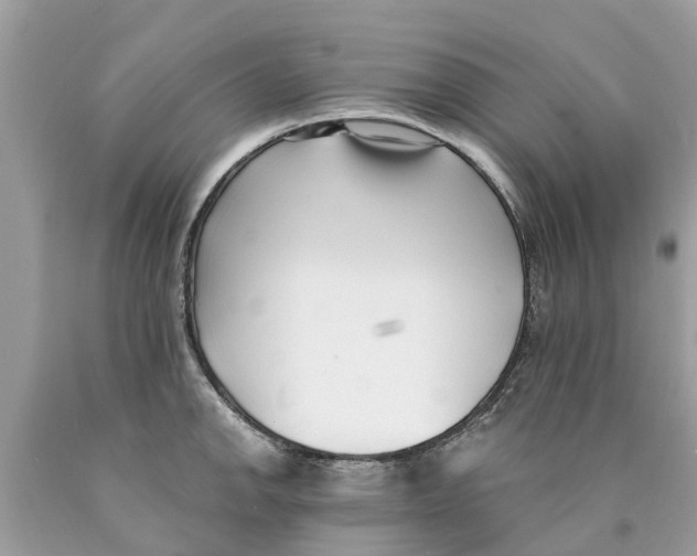 X0000089901142200707262245