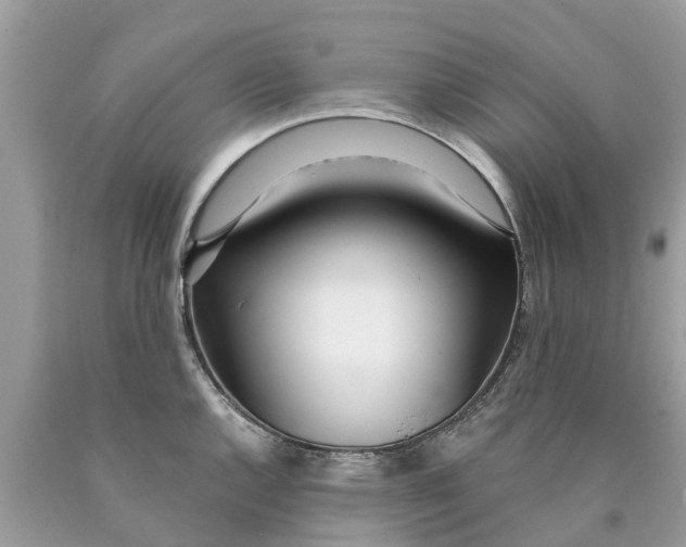 X0000089901144200707262245