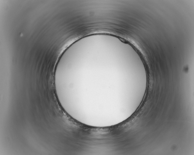 X0000089901145200707262245