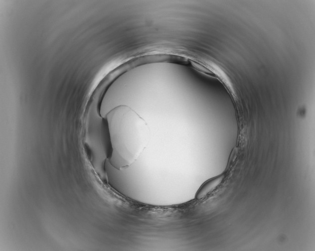 X0000089901146200707262245