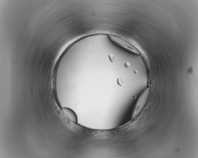 X0000089901148200707262245