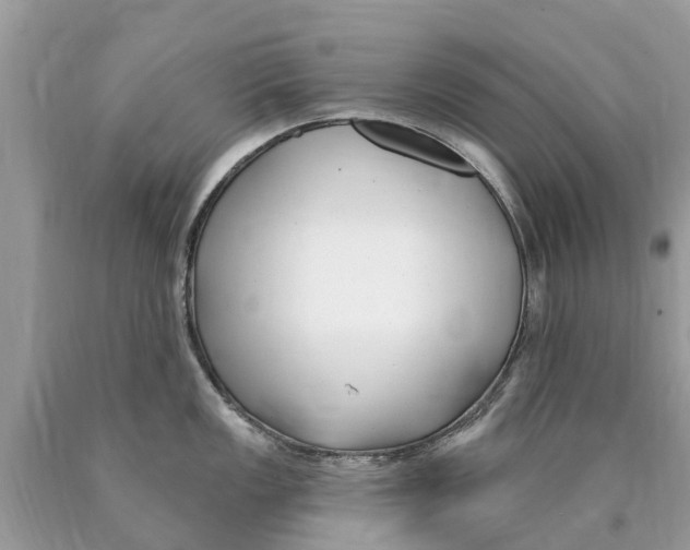 X0000089901149200707262245