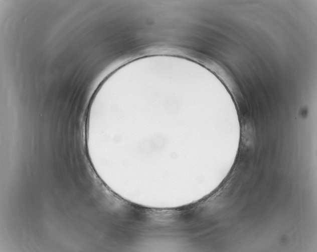X0000089901150200707262245