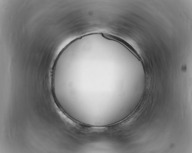 X0000089901151200707262245