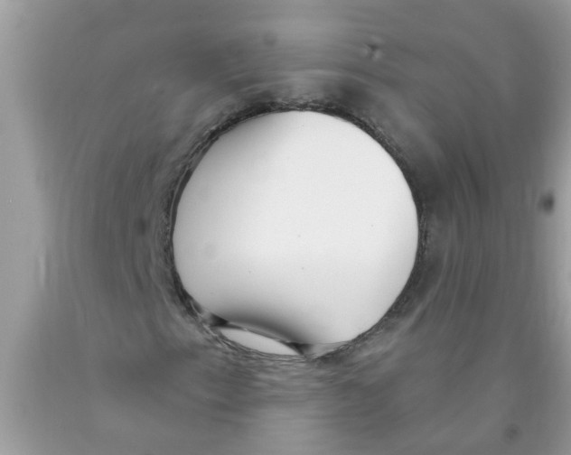 X0000089901153200707262245