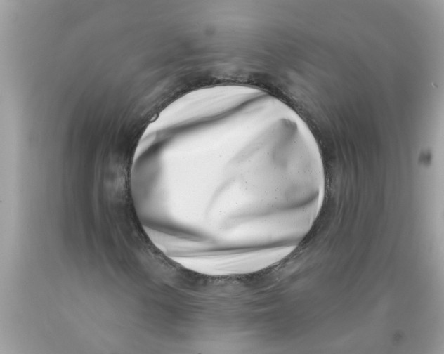 X0000089901154200707262245