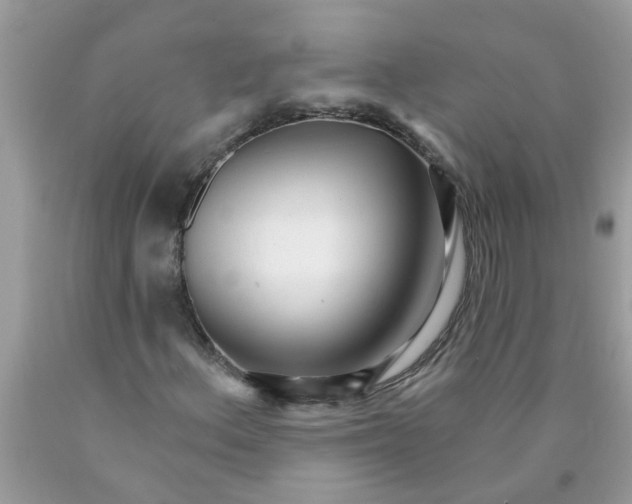 X0000089901156200707262245