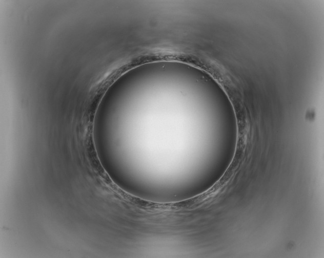 X0000089901157200707262245