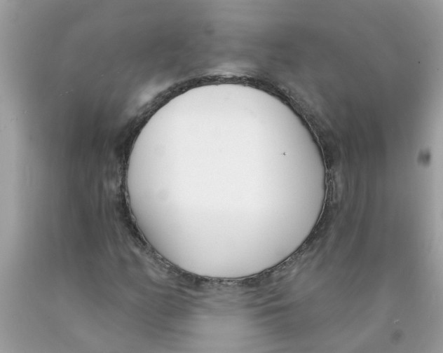 X0000089901158200707262245