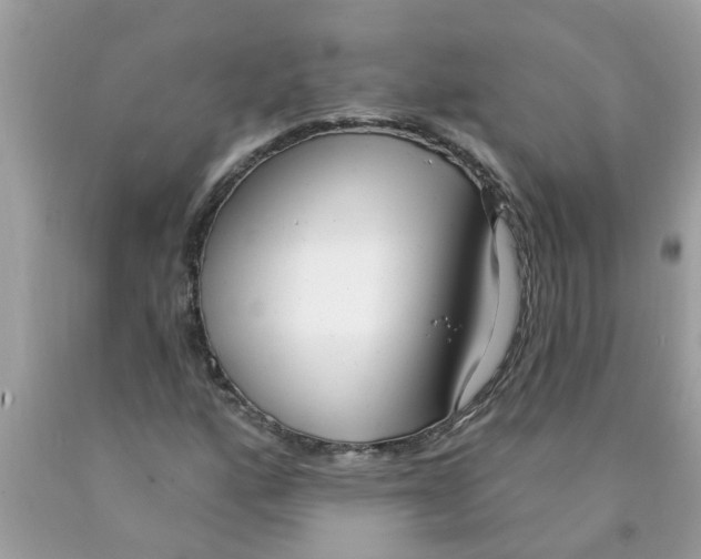 X0000089901160200707262245