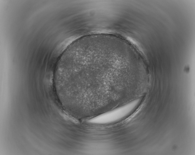 X0000089901161200707262245