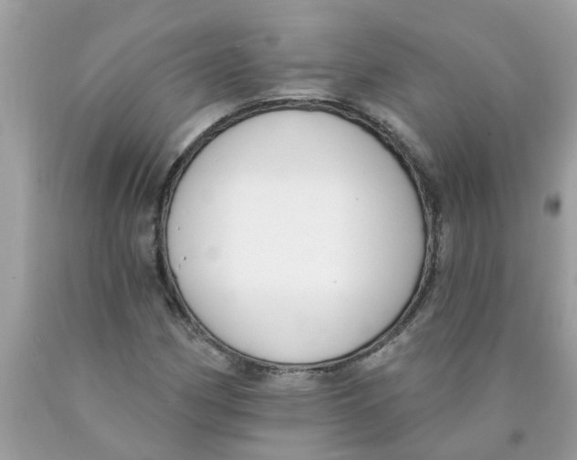 X0000089901162200707262245