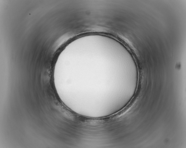 X0000089901163200707262245