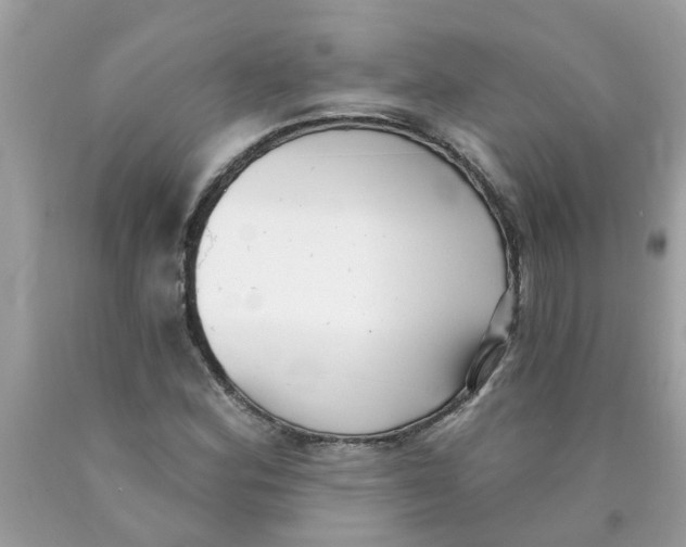 X0000089901164200707262245