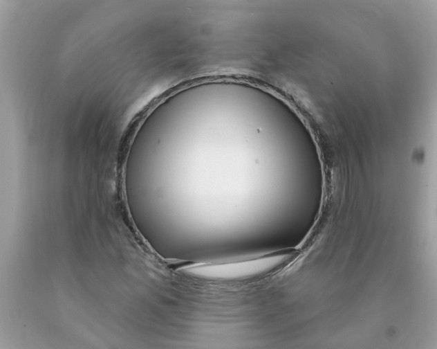 X0000089901165200707262245