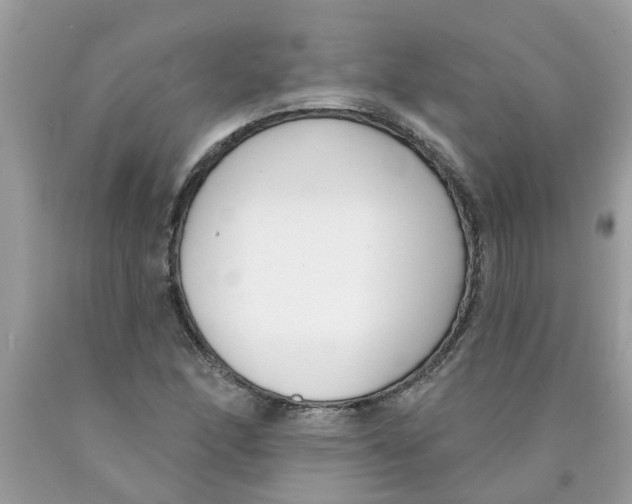 X0000089901166200707262244