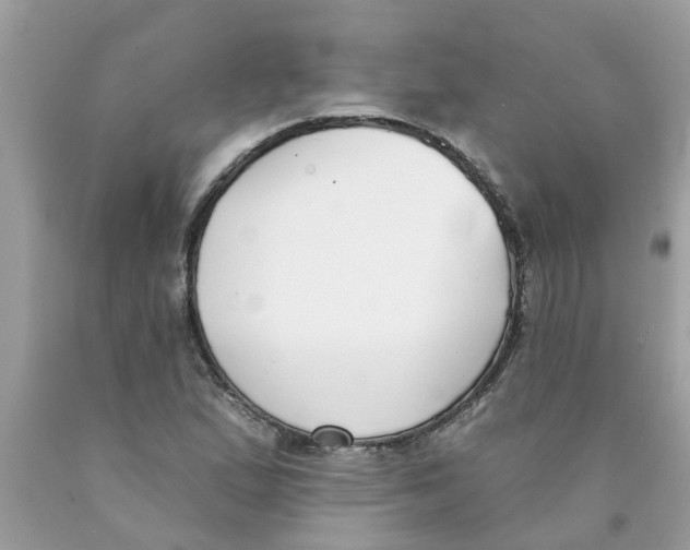 X0000089901167200707262244