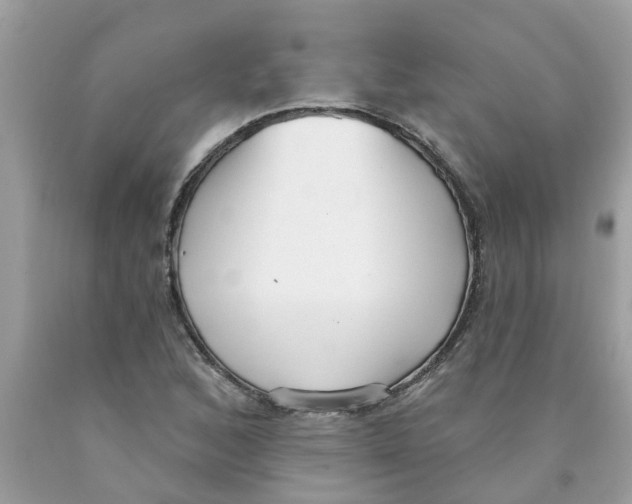 X0000089901168200707262244