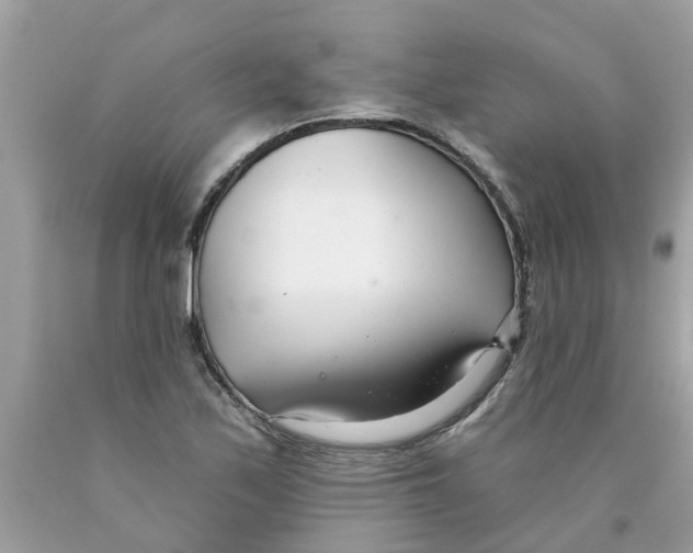 X0000089901171200707262244