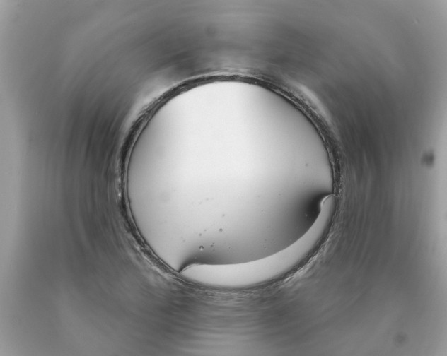 X0000089901172200707262244
