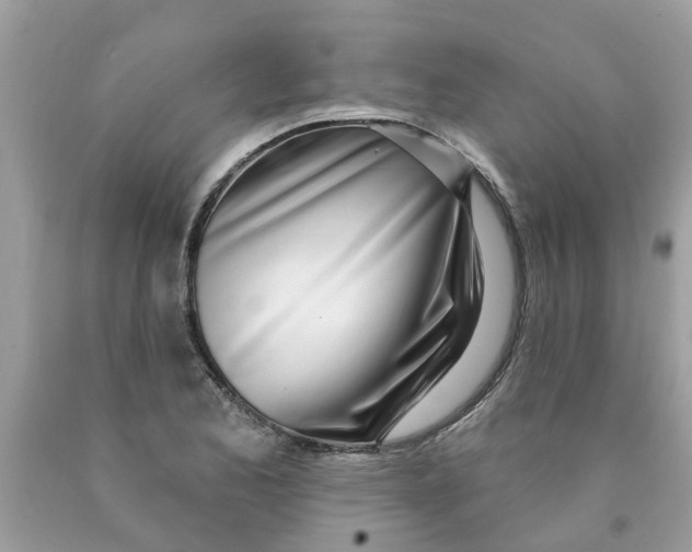 X0000089901173200707262244