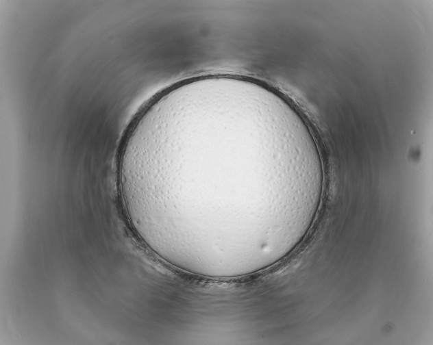 X0000089901174200707262244