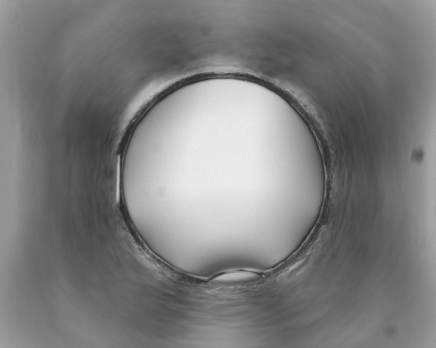 X0000089901175200707262244