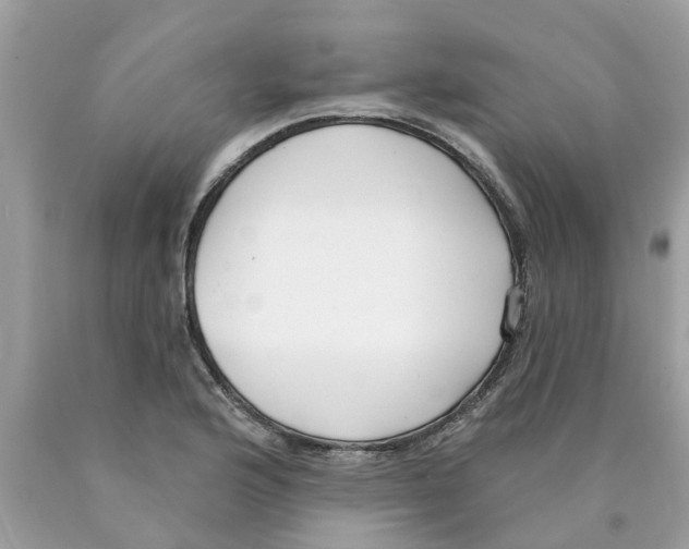 X0000089901176200707262244