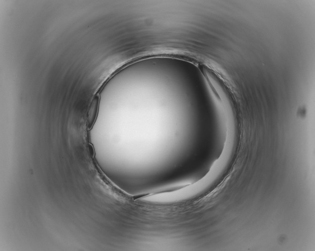 X0000089901177200707262244