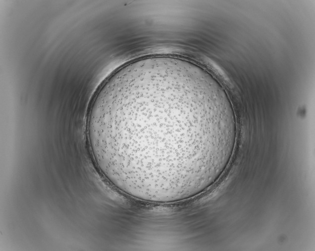 X0000089901178200707262244
