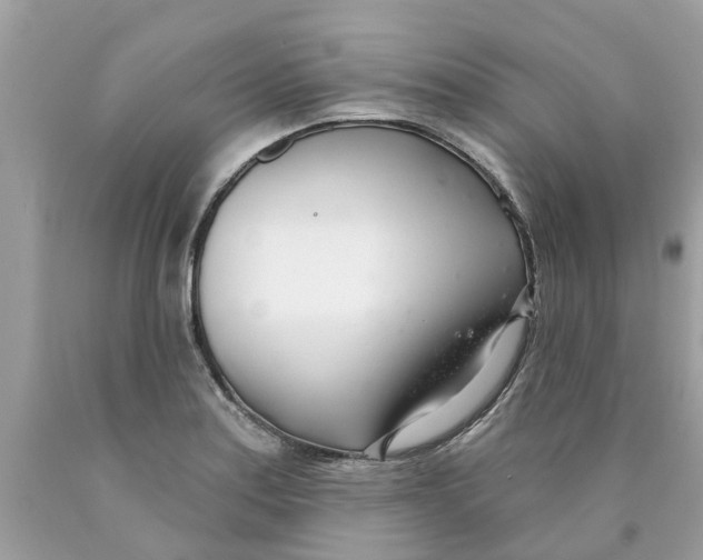 X0000089901179200707262244