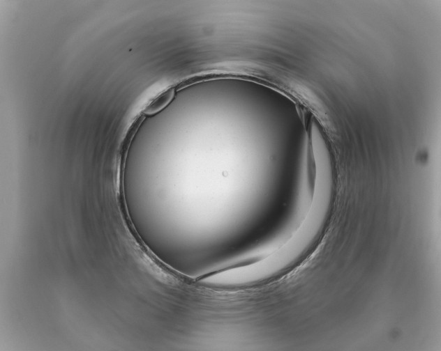 X0000089901180200707262244