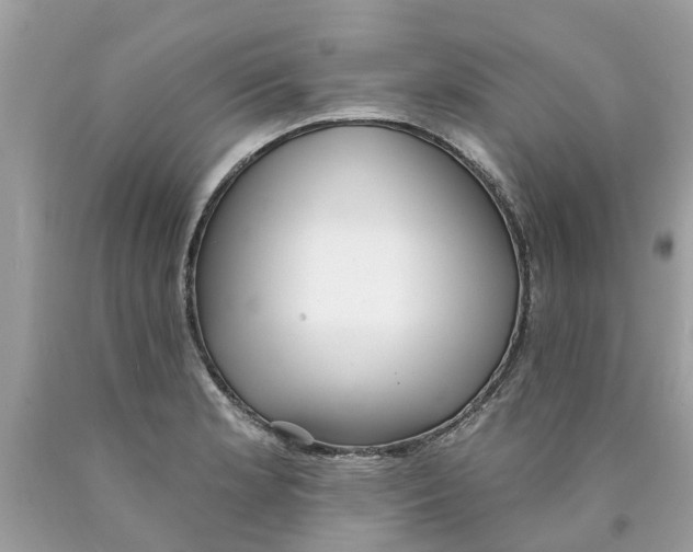 X0000089901181200707262244