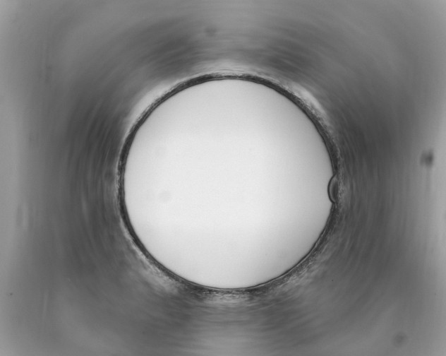 X0000089901183200707262244