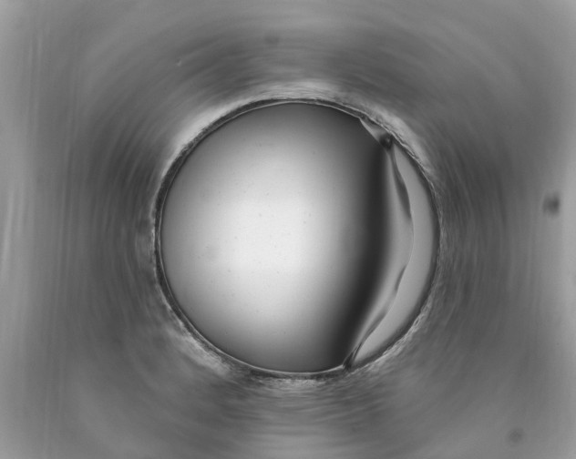 X0000089901184200707262244