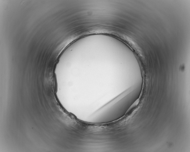 X0000089901185200707262244